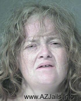 Teresa Ann Collins Mugshot