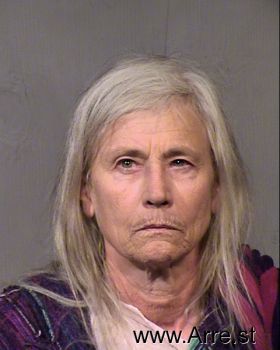 Theresa Lynn Johnson Mugshot