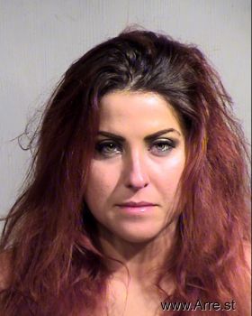 Tracy Lynn Castro Mugshot