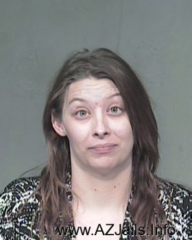 Tracy Ann Ferko Mugshot