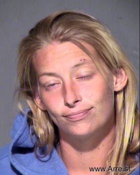 Tracy Ann Ferko Mugshot