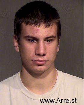 Tyler Vincent Palosaari Mugshot