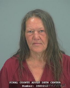 Tammy  Fuller Mugshot