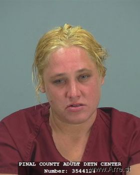 Tammy  Holmes Mugshot