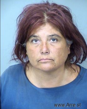 Tammy Sue Krugh Mugshot