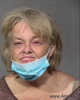 Teresa A Collins Mugshot