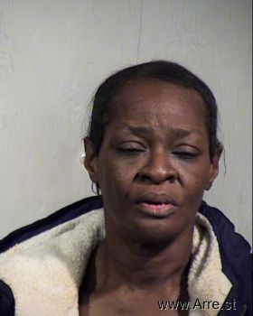 Terri Janene Martin Mugshot