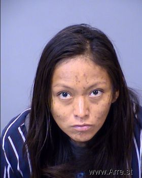 Theresa Marie Phillips Mugshot