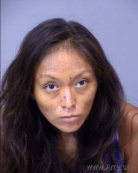 Theresa Marie Phillips Mugshot