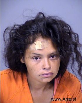 Theresita N Olvera Mugshot