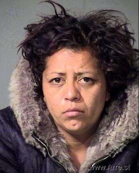 Tina  Diaz Mugshot