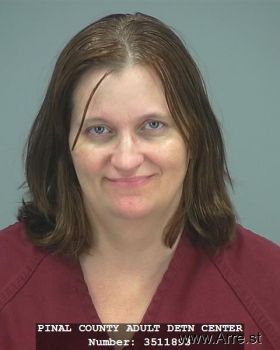 Tina  Johnson Mugshot