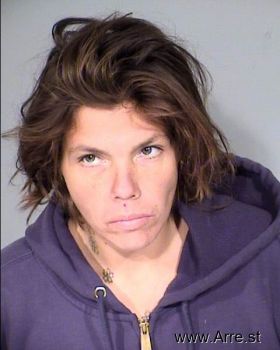 Tracy Beth Lindberg Mugshot