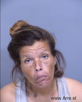 Tracy Beth Lindberg Mugshot