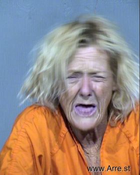 Tracy Lynn Murphy Mugshot