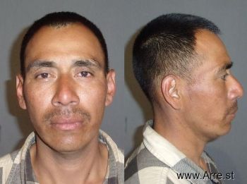 Trinidad  Perez-hernandez Mugshot