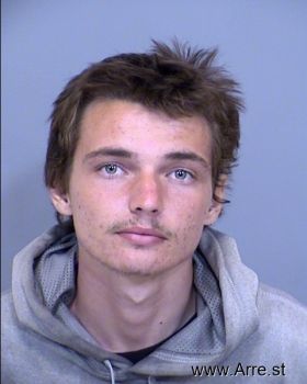 Tyler Lee Adkins Mugshot