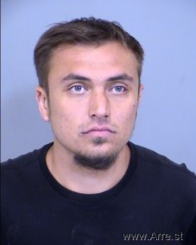 Tyler  Anderson Mugshot