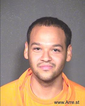 Tyler  Ellison Mugshot