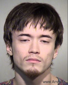 Tyler Travis Harmon Mugshot