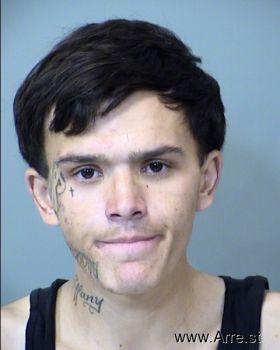 Tyler  Hoffman Mugshot