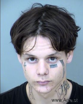 Tyler Reese Woodward Mugshot