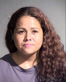 Veronica Lomas Villegas Mugshot