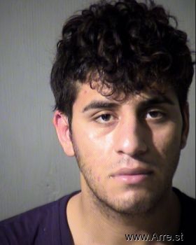 Vahid  Arman Mugshot