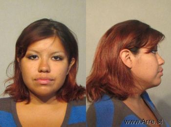 Vanessa Ann Alvarez Mugshot