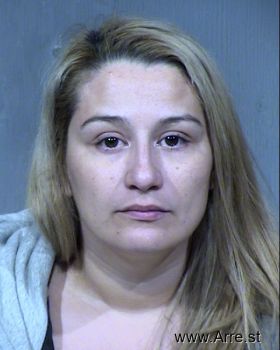 Vanessa B Castillo Mugshot