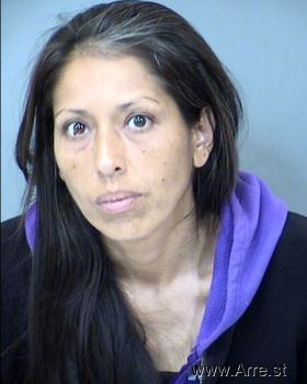 Vanessa Donna Medina Landa Mugshot