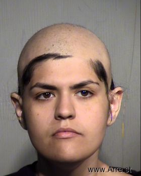 Venessa  Gonzalez Mugshot