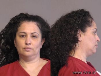 Veronica Ann Villa Mugshot