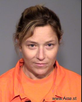 Vicki J Bredniak Mugshot