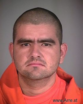 Victor  Ibarra-dominguez Mugshot