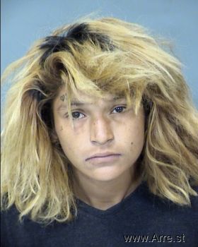 Victoria Corina Torre Guerrero Mugshot