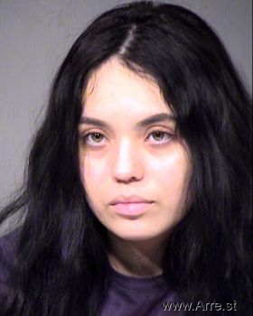 Victoria Villa Sanchez Mugshot