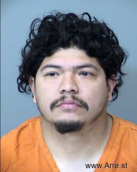 Vincent Antonio Flores-brown Mugshot