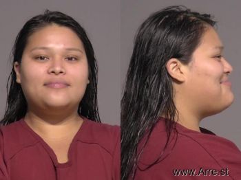 Viviana Ana Hernandez Mugshot