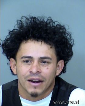 Wilson  Alvarado Matute Mugshot