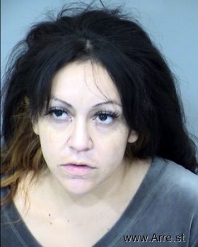 Yesenia  Figueroa Mugshot