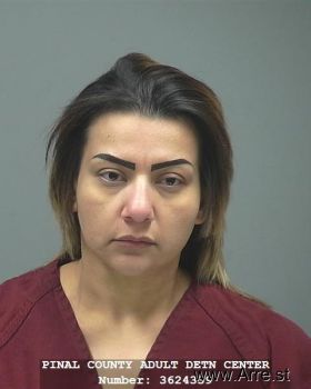 Yesenia  Gonzalez Mugshot