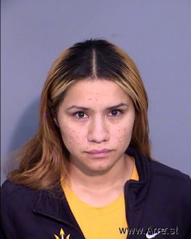 Yvonne Alejandra Hernandez Mugshot