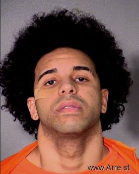 Zachary  Bellamy Mugshot