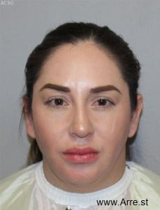 Adriana Rivasgollas Arrest Mugshot