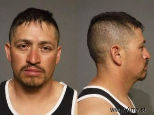 Alejandro Mendoza Arrest Mugshot