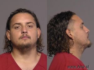 Alfredo Medina Arrest Mugshot