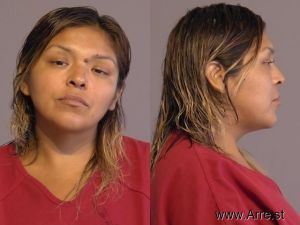 Alicia Valenzuela Arrest Mugshot