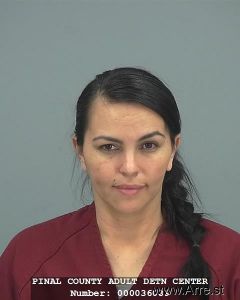 Amanda Geiger Arrest Mugshot