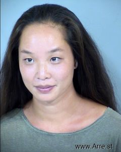 Amanda Mei Arrest